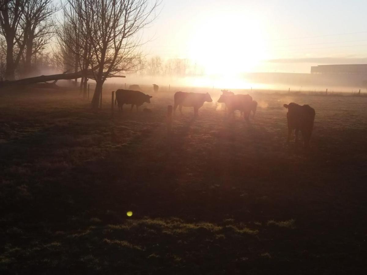 Agriturismo Cascina Pezzolo Lodi Zewnętrze zdjęcie