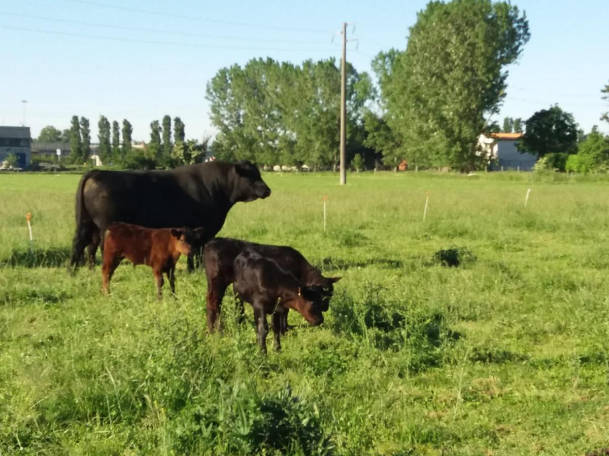 Agriturismo Cascina Pezzolo Lodi Zewnętrze zdjęcie